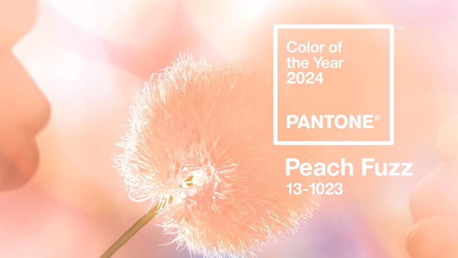 PANTONE 13-1023 “Peach Fuzz” là màu sắc của năm 2024.